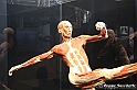 VBS_2615 - Mostra Body Worlds